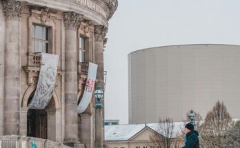 Berlin mit Hund: Ein Hund erkundet die Straßen von Berlin.